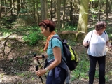 Wanderung2019-019