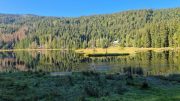 Am kleinen Arbersee